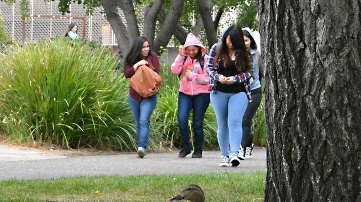 
Students pull up hoods and protect laptops against an unexpected sprinkle Wednesday morning at California State University, Stanislaus, in Turlock.
