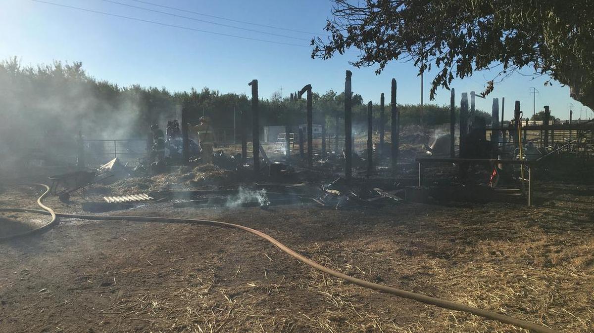One horse died in a fire that quickly engulfed a barn on Lon Dale Road in the Valley Home area Wednesday evening, July 20, 2016.