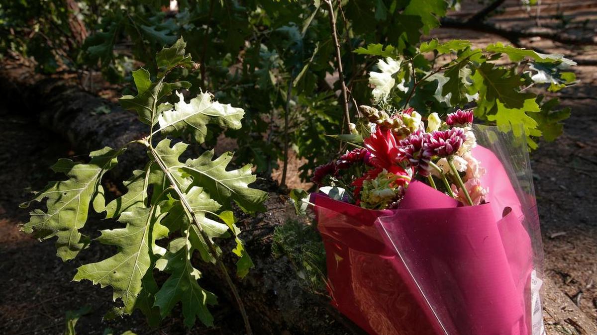 
A bouquet of flowers rests Saturday on the tree branch that fell at the Upper Pines Campground in Yosemite National Park, killing two young campers when it struck their tent.
