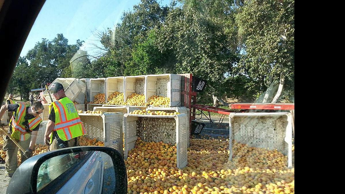 
An accident involving a big rig carrying peaches on Highway 99 south of Modesto blocked traffic in the northbound lanes and left plenty of peaches for workers to clean up. 
