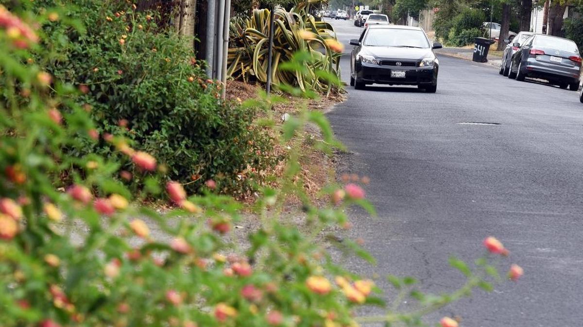 Garrett Thompson Construction has filed a nearly $306,000 claim against the city, seeking payment for asphalt repairs it did for the city. Some of the company’s recent work is shown on Lucern Avenue in central Modesto.