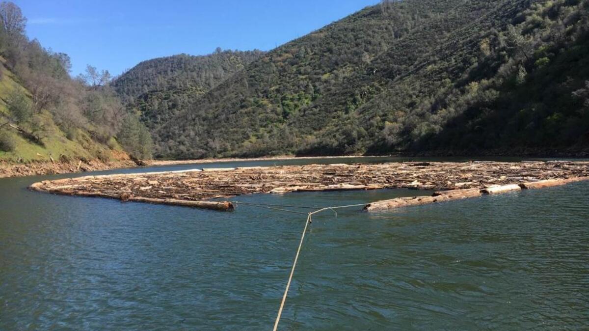 A debris boom captures logs washed by recent heavy rain into the Tuolumne River upstream from Don Pedro Reservoir.