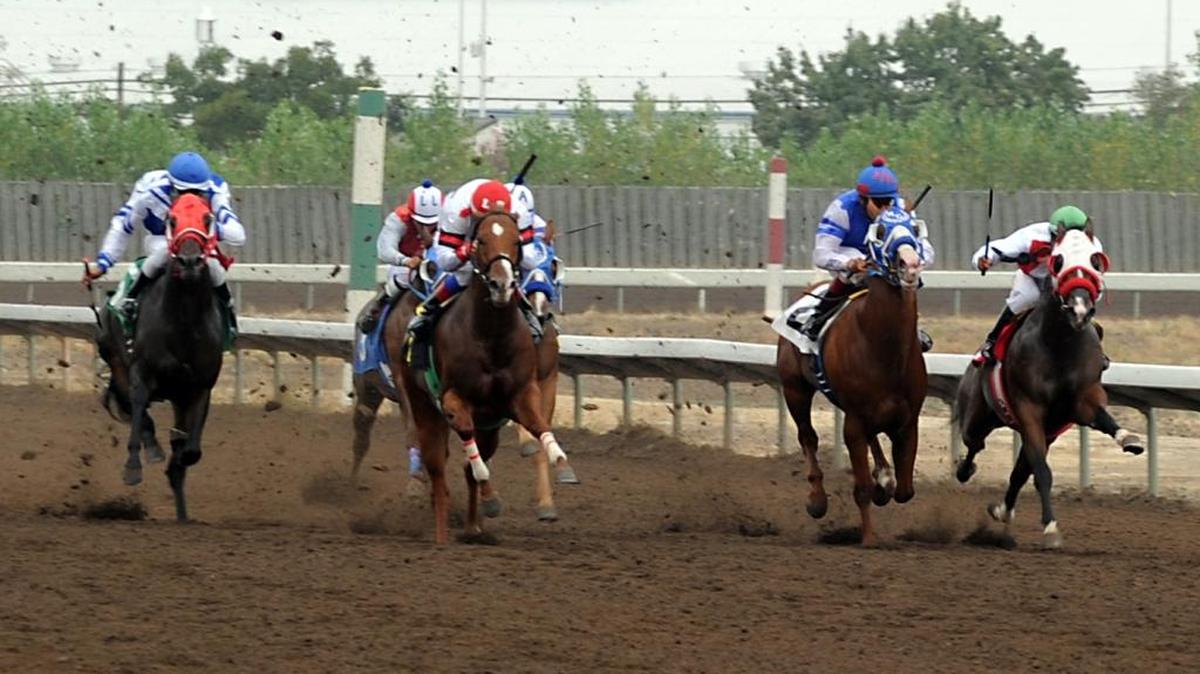 Quarter horses in the second race Sunday (09-14-15) at the San Joaquin County Fairgrounds in Stockton, Calif. Calixtro Romias/ The Record