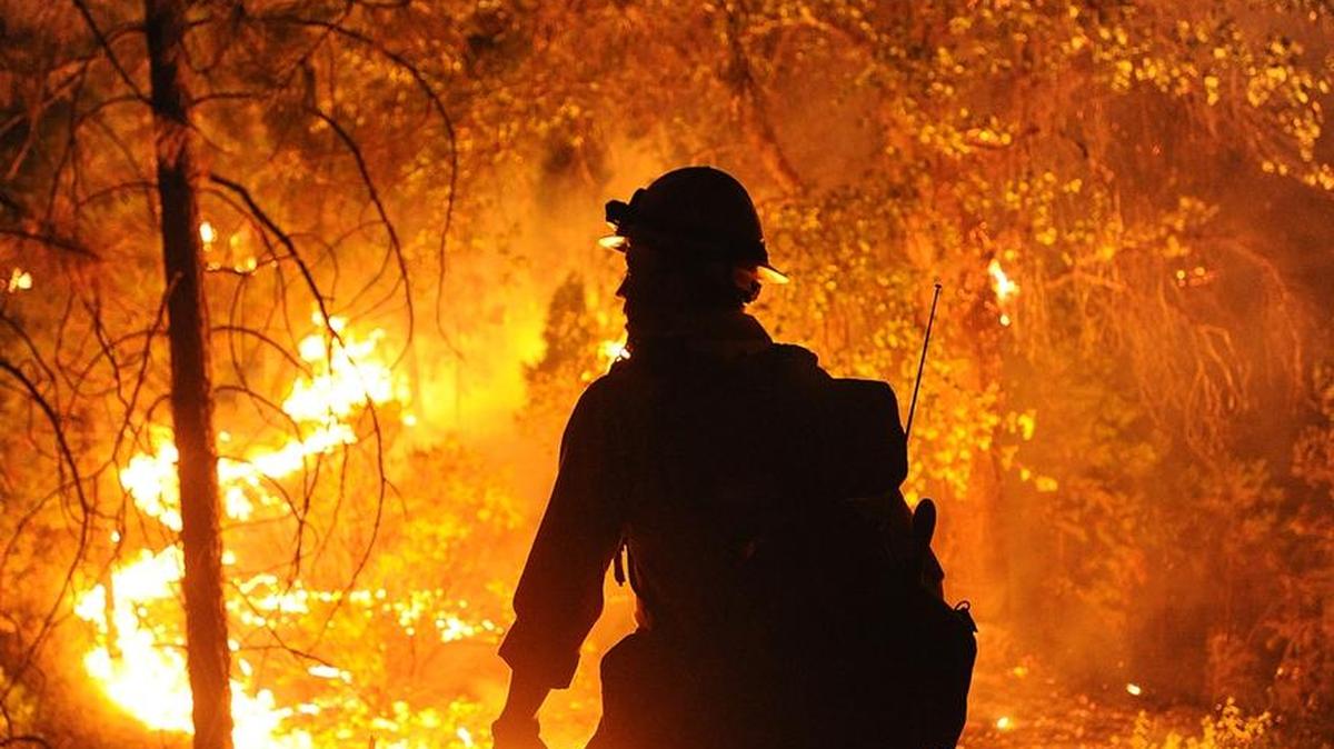 Big Bear firefighter Jon Curtis keeps a close eye on the Rim Fire after it jumped Highway 120 just east of Hardin Flat Road in the Stanislaus National Forest in August 2013.