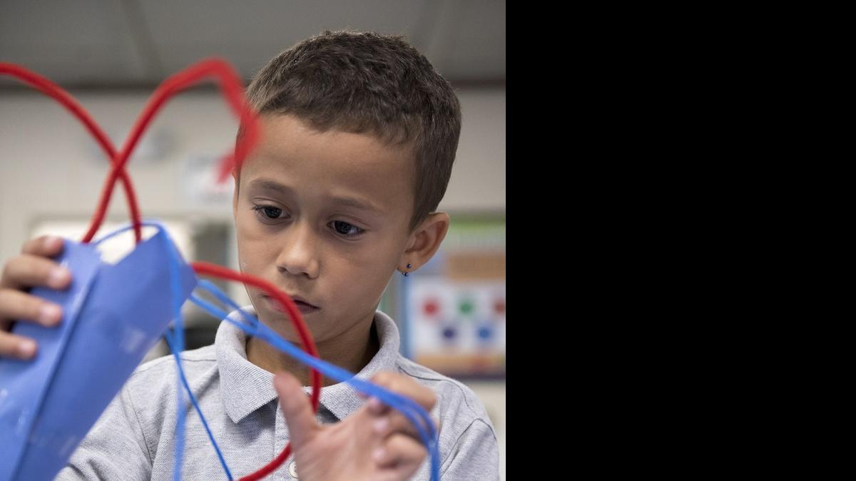 
Malikhi Agbogidi, 8, builds a "blue carrot" as students make designer vegetables during the National Ag Science Center's "Weird, Wild and Wacky Summer Science Camp" at Franklin Elementary School in Modesto, Calif., on Wednesday, June 3, 2015.
