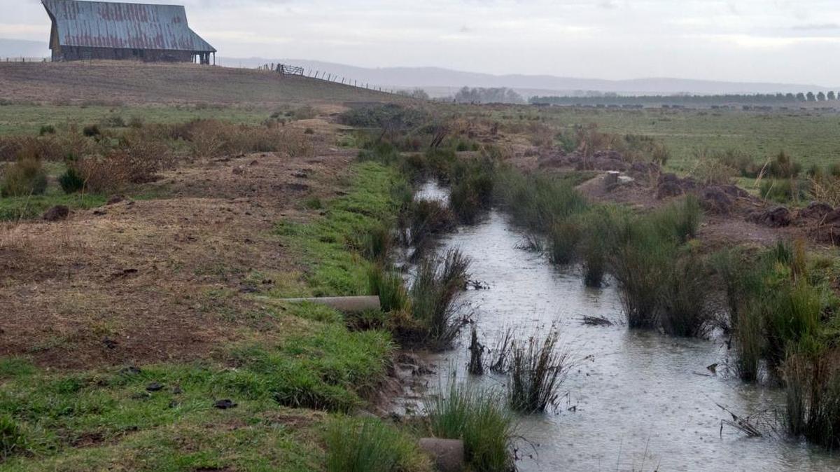 A creek fills while raining north of Oakdale on Monday, Nov. 9, 2015.