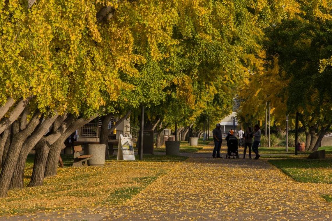 All of California can expect above-average temperatures in the fall of 2025, according to the Old Farmer’s Almanac.