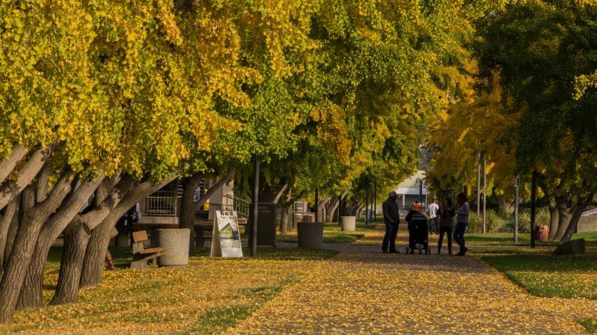 All of California can expect above-average temperatures in the fall of 2024, according to the Old Farmer’s Almanac.