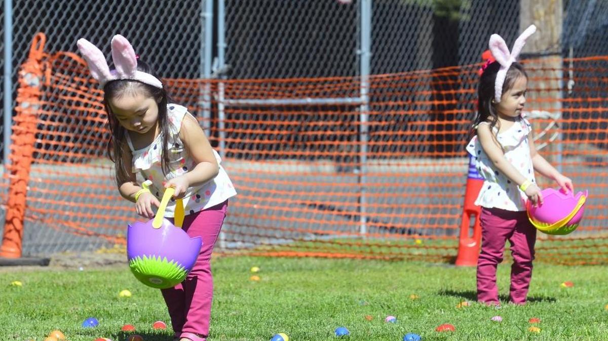 Twins Adrianna and Camilla Calo collect eggs during the Eggstreme Easter Egg Hunt at The House Modesto in Modesto, Calif., on Saturday, March 26, 2016.