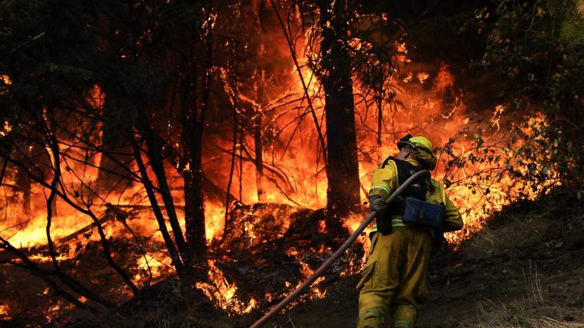 A firefighter carries a water hose to put out a fire during along the Highway 29 on Friday, Oct. 13, 2017, near Calistoga, Calif. Firefighters gained some ground on a blaze burning in the heart of California's wine country but face another tough day ahead with low humidity and high winds expected to return.