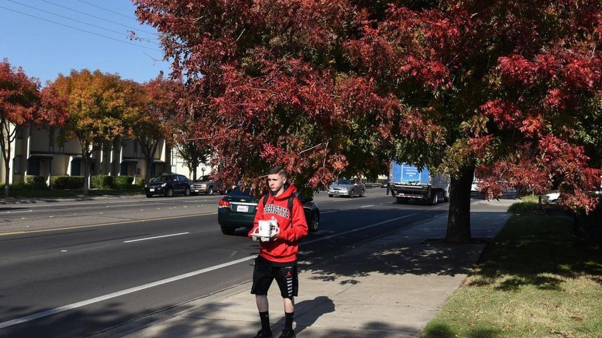 Drew Rosalia walks down Tully Road on Friday morning, Nov. 20, 2015, south of Standiford Avenue in Modesto. Autumn’s leaves are in full color in the Valley.