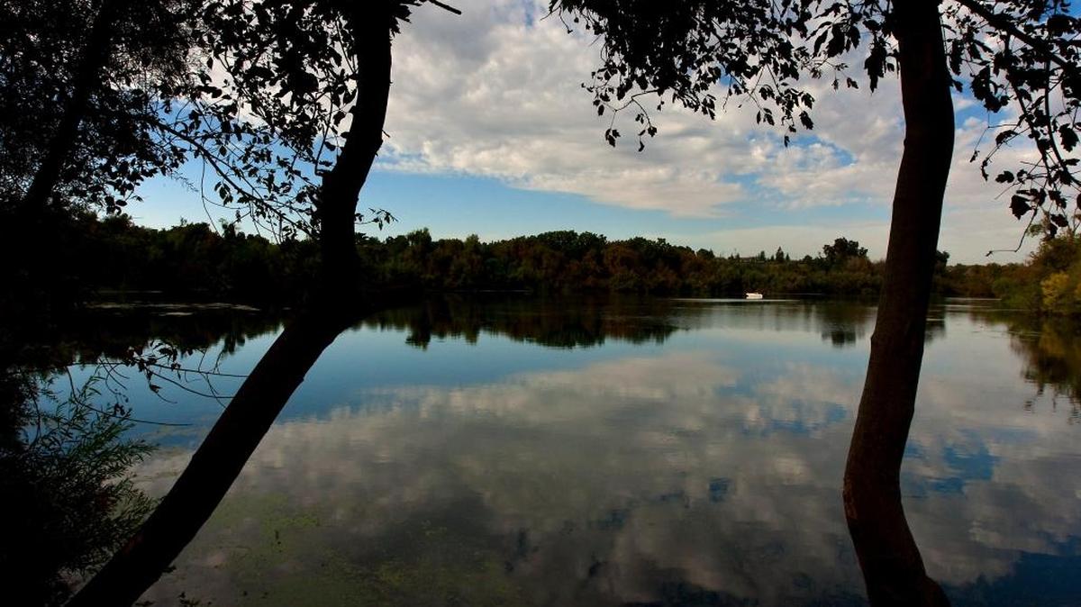 The Tuolumne River at the Fox Grove fishing access area, near Hughson. Turlock and Modesto irrigation districts would move their water intake facilities to near this location so that more cold water will help salmon survive in the colder, upstream reaches of the river.
