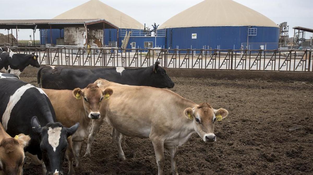 One of the first methane digesters in the Northern San Joaquin Valley was at Fiscalini Farms in Modesto, installed in 2015. This year, more than 40 other dairy farms have gotten grants to install them.