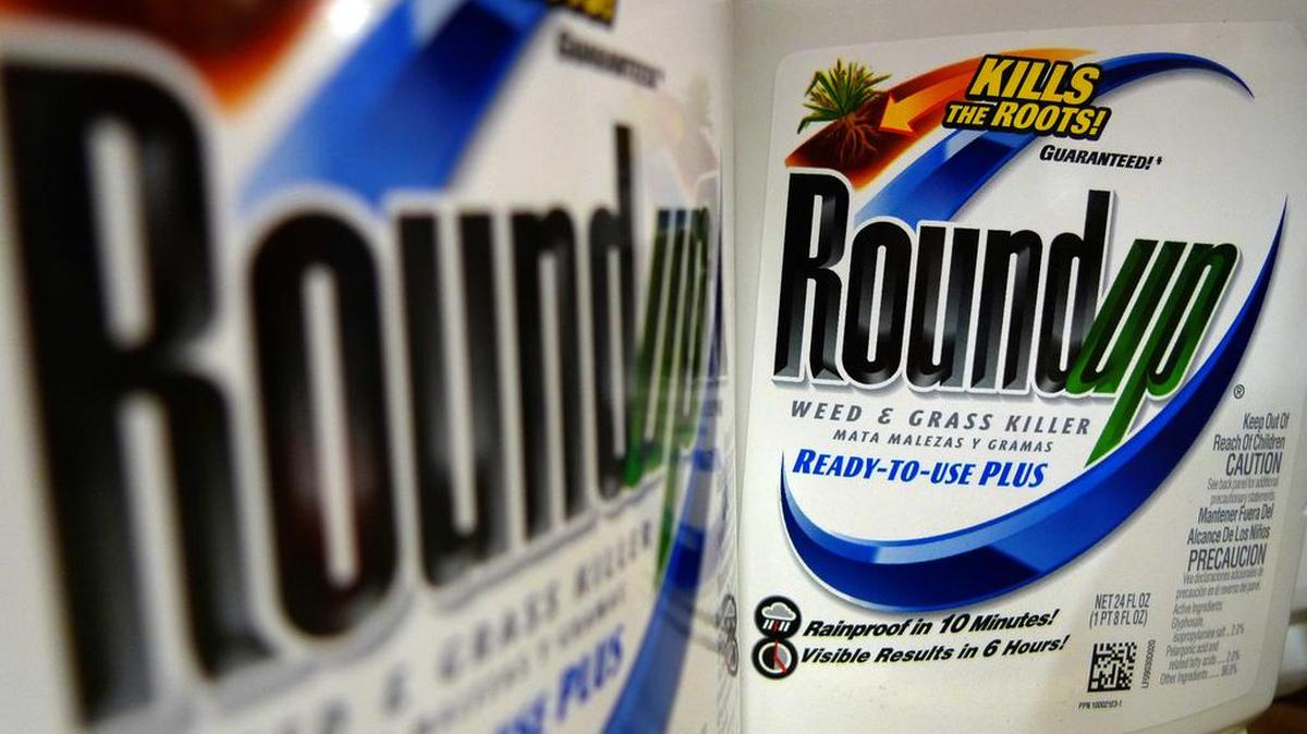 Monsanto has also been sued for cancers caused by its weed killer Roundup. The company marketed the product as safe even though it had known since 1999 that its main ingredient, glyphosate, is carcinogenic. When Monsanto was sued, a federal district court judge granted a broad protective order preventing disclosure of what was discovered in litigation. Other judges issued similar protective orders mandating secrecy about Roundup. Over 8,000 plaintiffs have sued Monsanto for harms caused by Roundup, and there’s no way to know how many people — mostly field workers — died as a result.