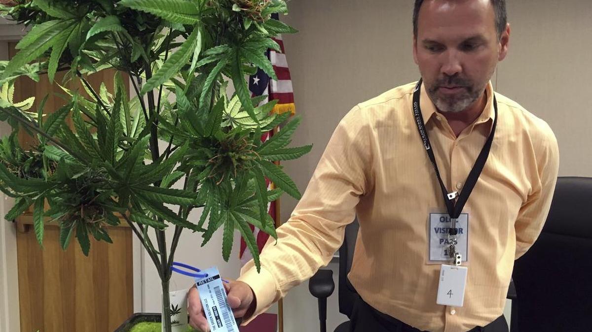 An official in Oregon shows off a sample tag that authorities can scan to see if the weed is legal and authorized for harvest or being grown on the black market.
