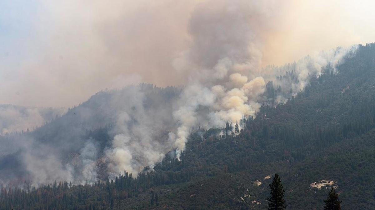 
Smoke billows from a mountainside at the Willow fire near Bass Lake on July 26.
