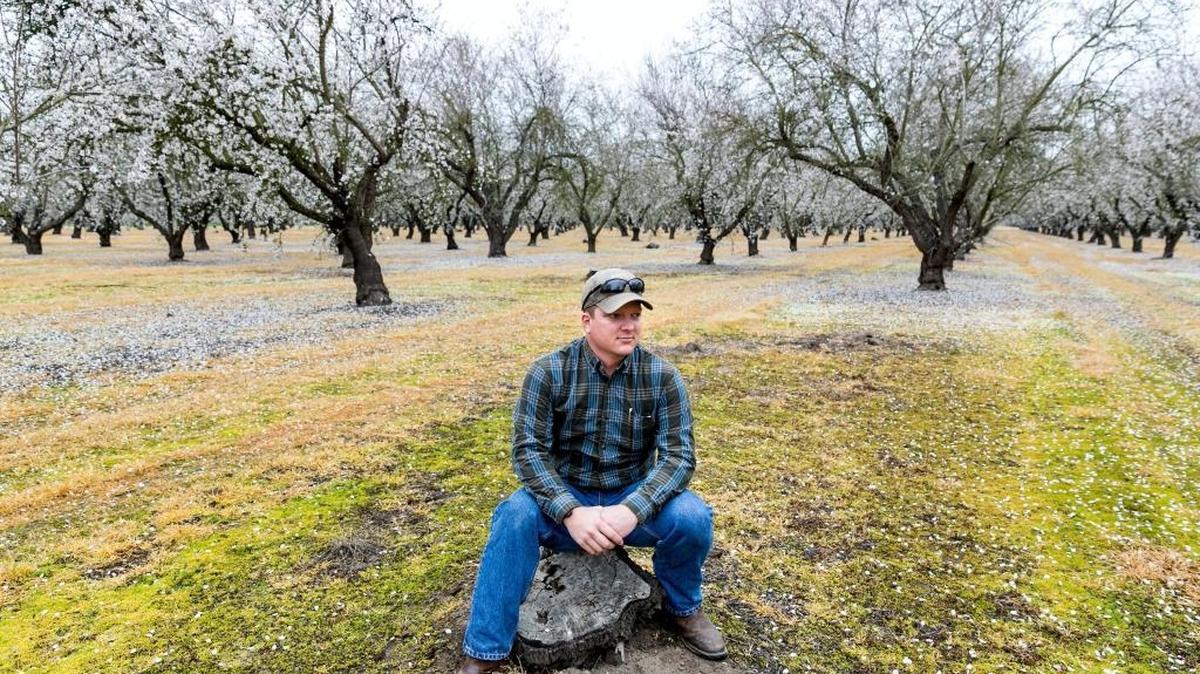 Jake Wenger poses for a portrait on an almond farm worked on by his family. He is running for re-election to the Modesto Irrigation District board of directors.