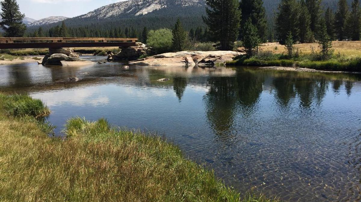 The Tuolumne River from near its headwaters in Tuolumne Meadows in Yosemite National Park. The river looks placid and languid on an August day, but it provides drinking water for millions and food for millions more.