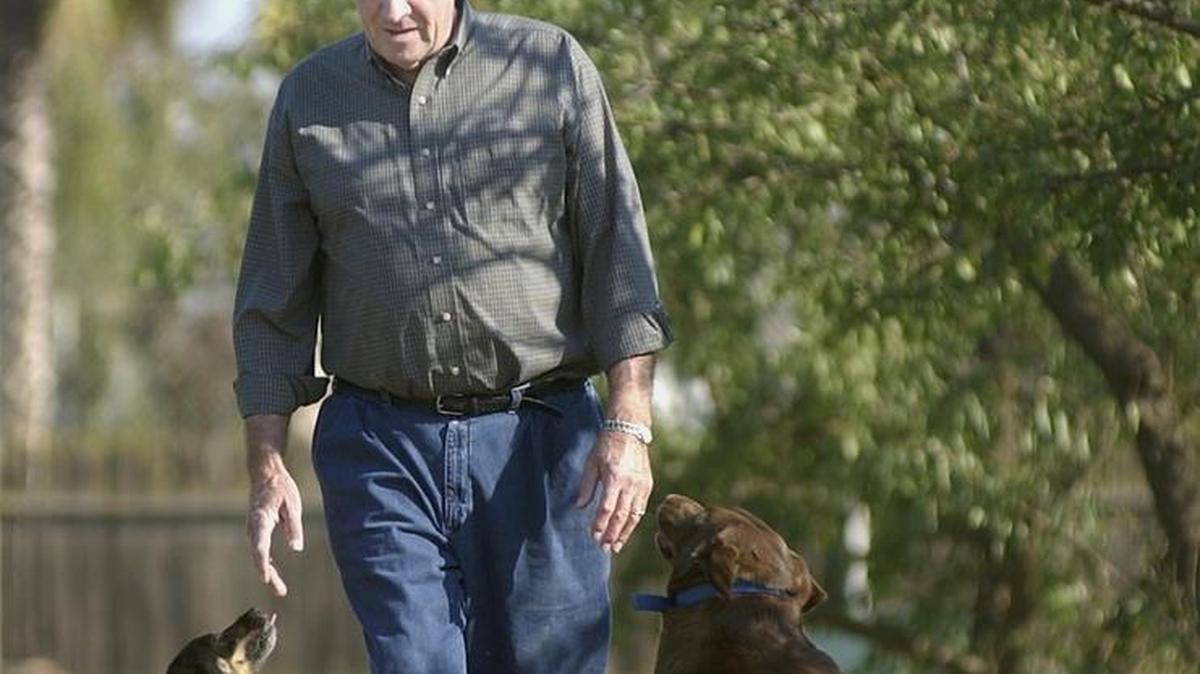 Nick Blom, walking through some of the orchards on his farm in West Stanislaus County. After 20 years as a county supervisor he retired in 2002 and died on Thursday.