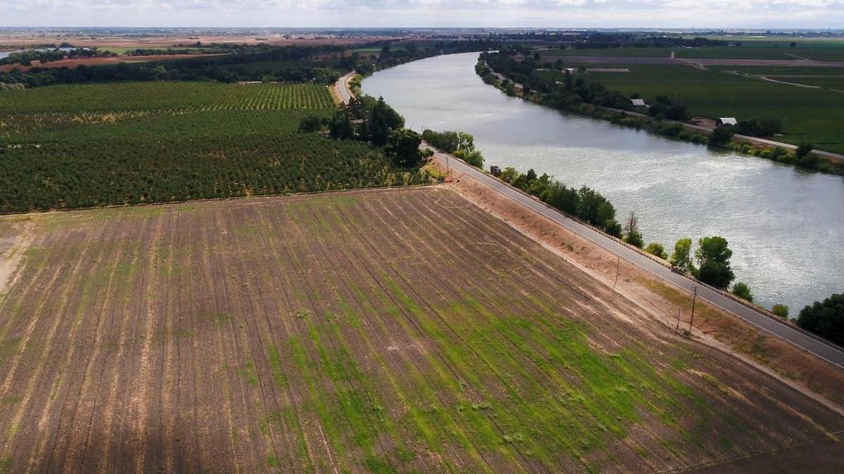This is the location, near Clarksburg, where the twin tunnels intake would carry water under the Delta and to the pumps near Tracy.