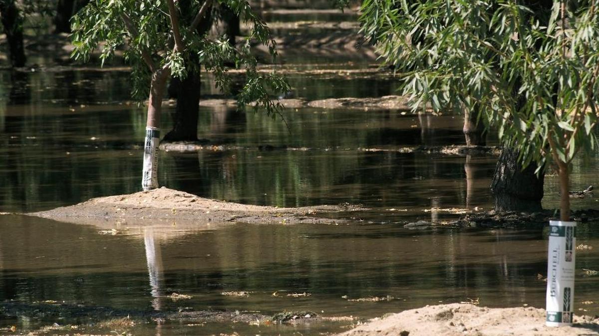 Flood irrigation doesn’t just benefit almond orchards; some of the water passes through the ground into aquifers below. Storing water there has been a tremendous benefit to Modesto and everyone who lives in it.