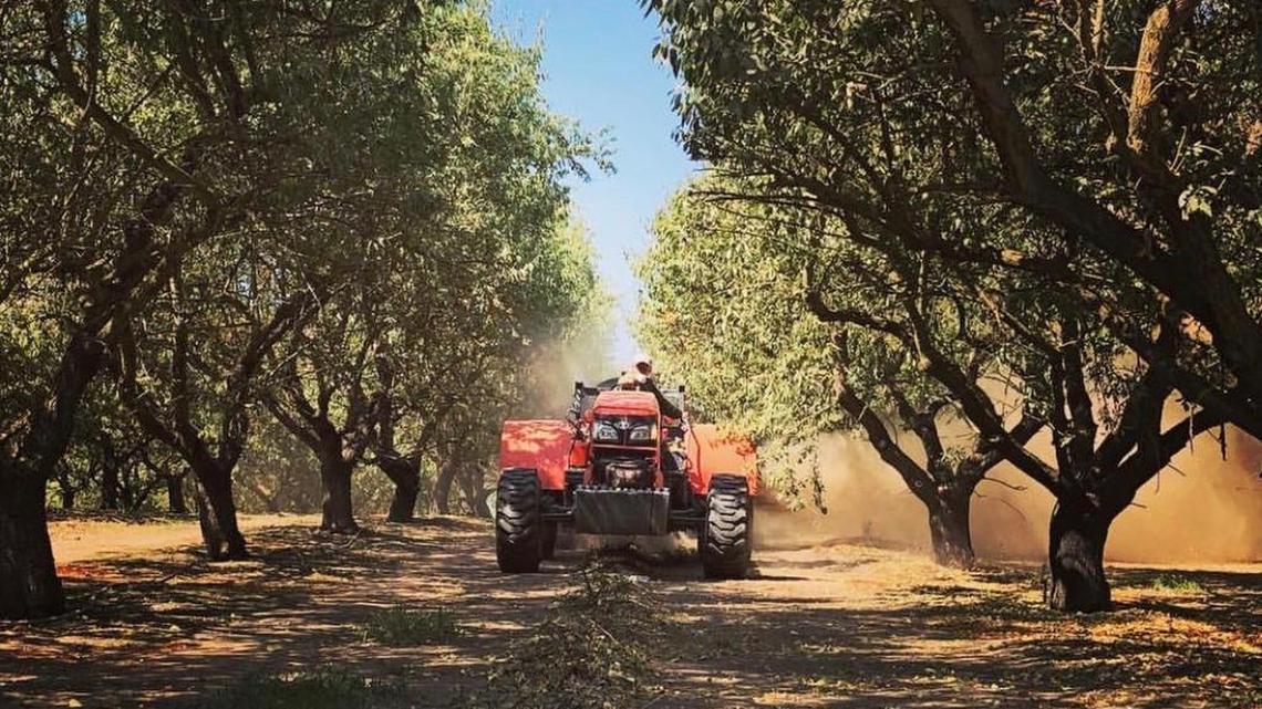 Equipment pulled by a tractor through an almond orchard expels dust during harvest. Almond growers are doing all they can to reduce dust kicked up by harvesting techniques.