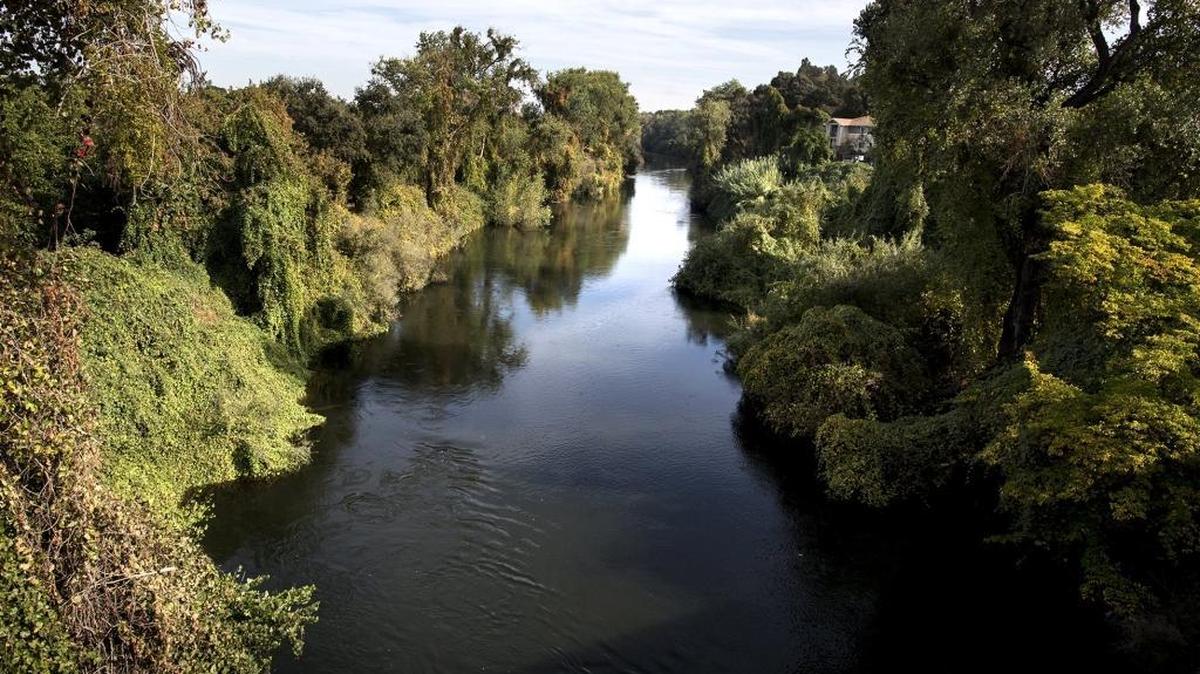 The Stanislaus River seen from the First Street Bridge in Riverbank. The river flows through Oakdale, Riverbank and near Escalon before reaching the San Joaquin River.