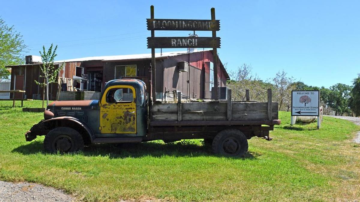 Bloomingcamp Ranch, east of Oakdale, Calif.
