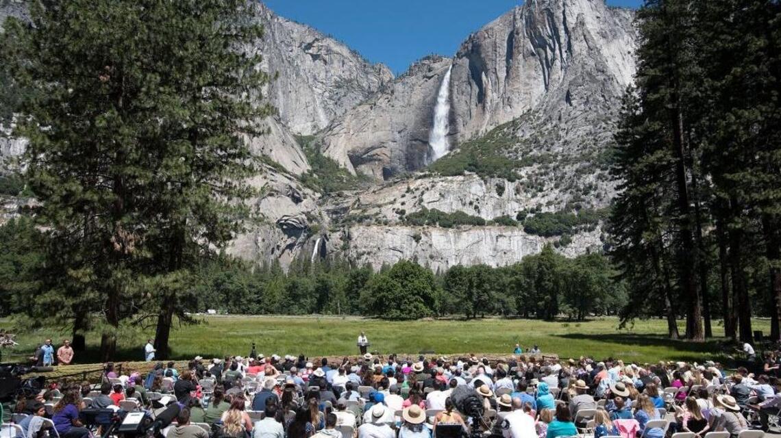 What’s happening to our forests is an emergency, President Obama