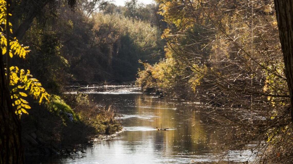 State’s current plan for river flows spells disaster for our region