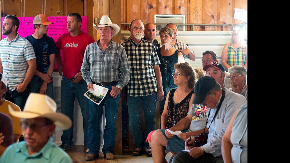 
A crowd estimated at 250 people filled the Knights Ferry Community Club on June 25 to participate in a community meeting on groundwater. Some major landowners who are switching to water-consuming almond orchards did not attend, though they were invited, say Knights Ferry-area residents Jamie Coston and Gail Alteri.

