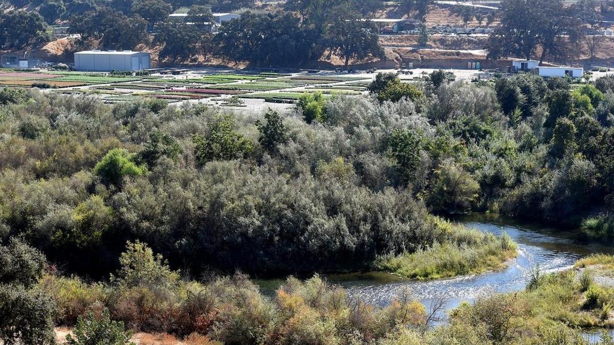 Frantz Nursery, south of the Tuolumne River is pictured Oct. 4 from the Tuolumne River Parkway in Waterford.
