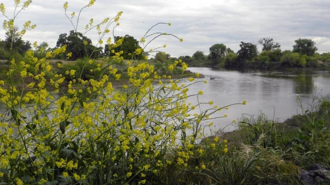 Economics of state’s water grab don’t add up