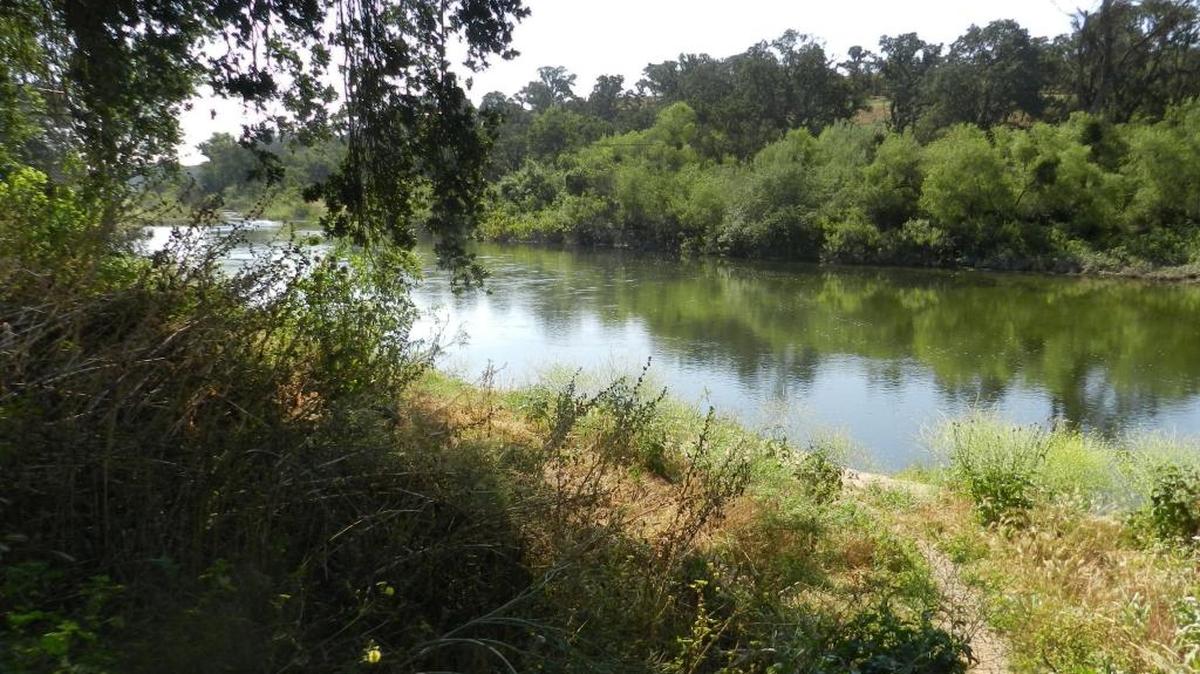 The Tuolumne River winds past River Park in Waterford. The state wants to double the flows of the river that leave the Northern San Joaquin Valley and flow to the Pacific Ocean.