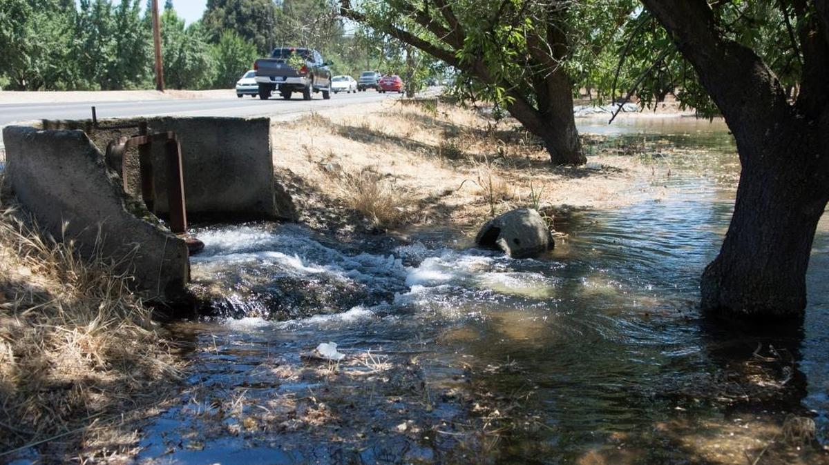 
These almond trees are watered by flood irrigation, which provides recharge for the aquifer. Pumping in the foothills does not offer the same opportunity. 
