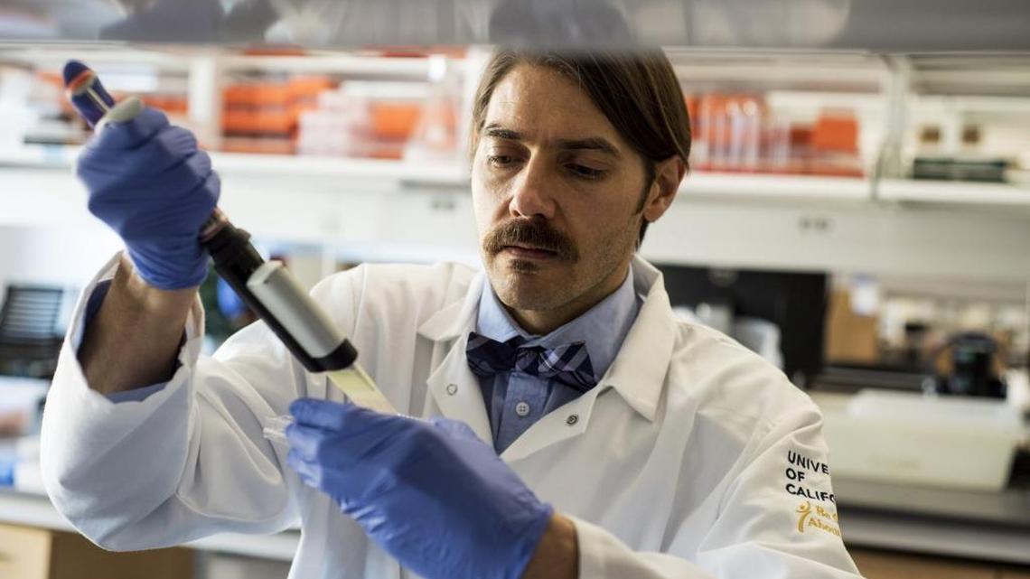 University of California, Merced professor Fabian Filipp uses a multipipettor to prepare human tumor cells as he studies ways to treat cancer. Such research is only possible with the help of graduate students and those willing to contribute to the university’s mission and work.