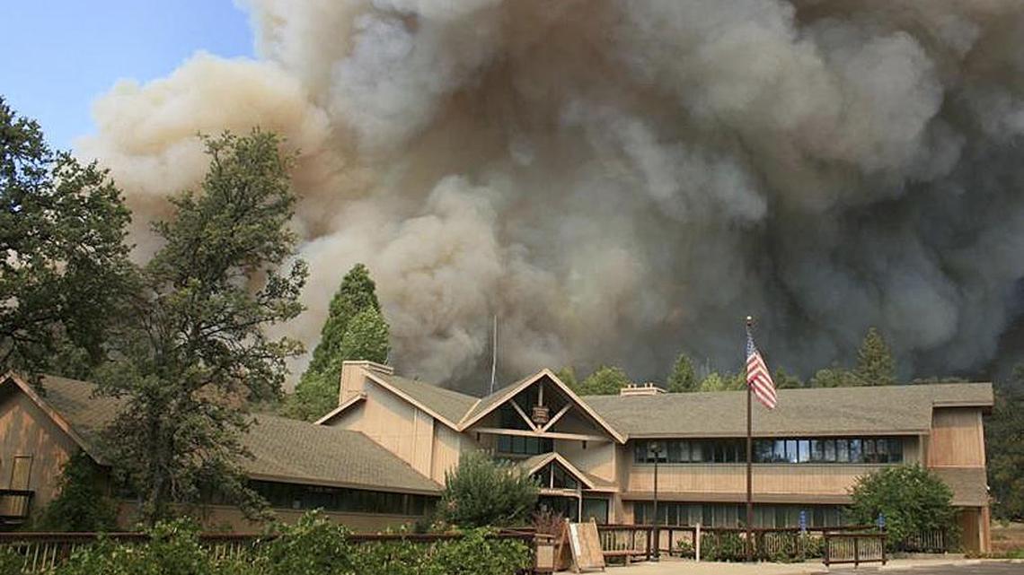 It’s time to rethink how we insure woodland homes