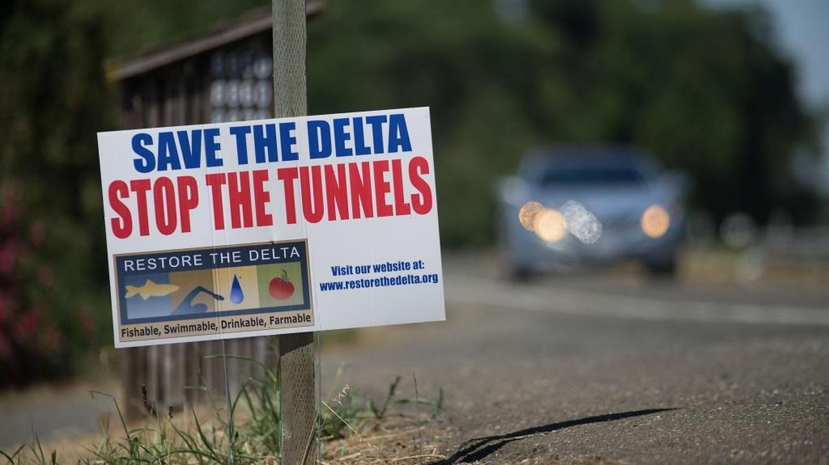 Campaign sign along Highway 160 in the Delta protests the state’s plan to overhaul the estuary by piping water underground. Gov. Gavin Newsom wants to downsize the project to a single tunnel.