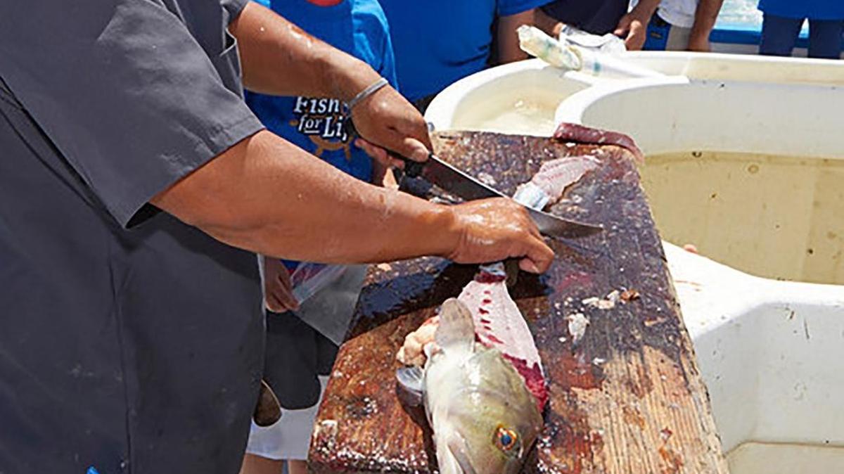 Only certain ocean fish are allowed to be filleted at sea. Check section 27.65 (c) in the Ocean Fishing Regulations booklet