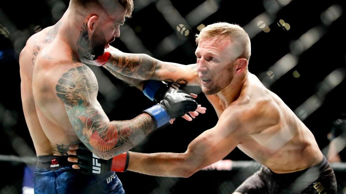 T.J. Dillashaw, right, hits Cody Garbrandt during their UFC title bantamweight mixed martial arts bout at UFC 227 in Los Angeles, Saturday, Aug. 4, 2018. (AP Photo/Chris Carlson)